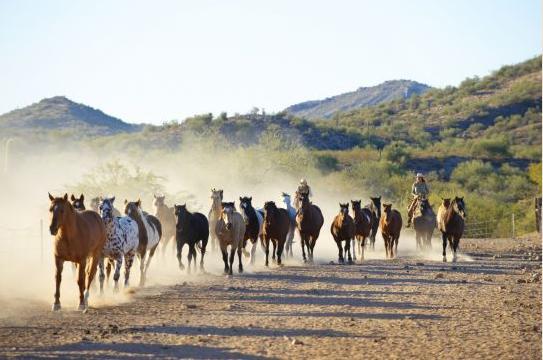 Rancho De Los Caballeros Уикенберг Экстерьер фото